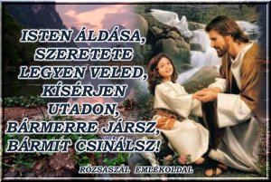 11745315_846863572176521_4592968294076497872_n